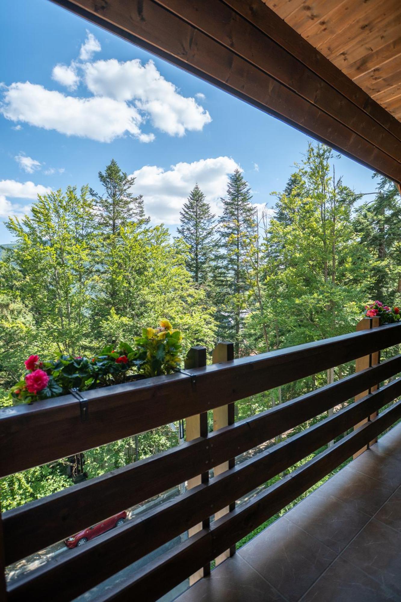 Opus Villa Sinaia Luaran gambar A balcony in the Alps