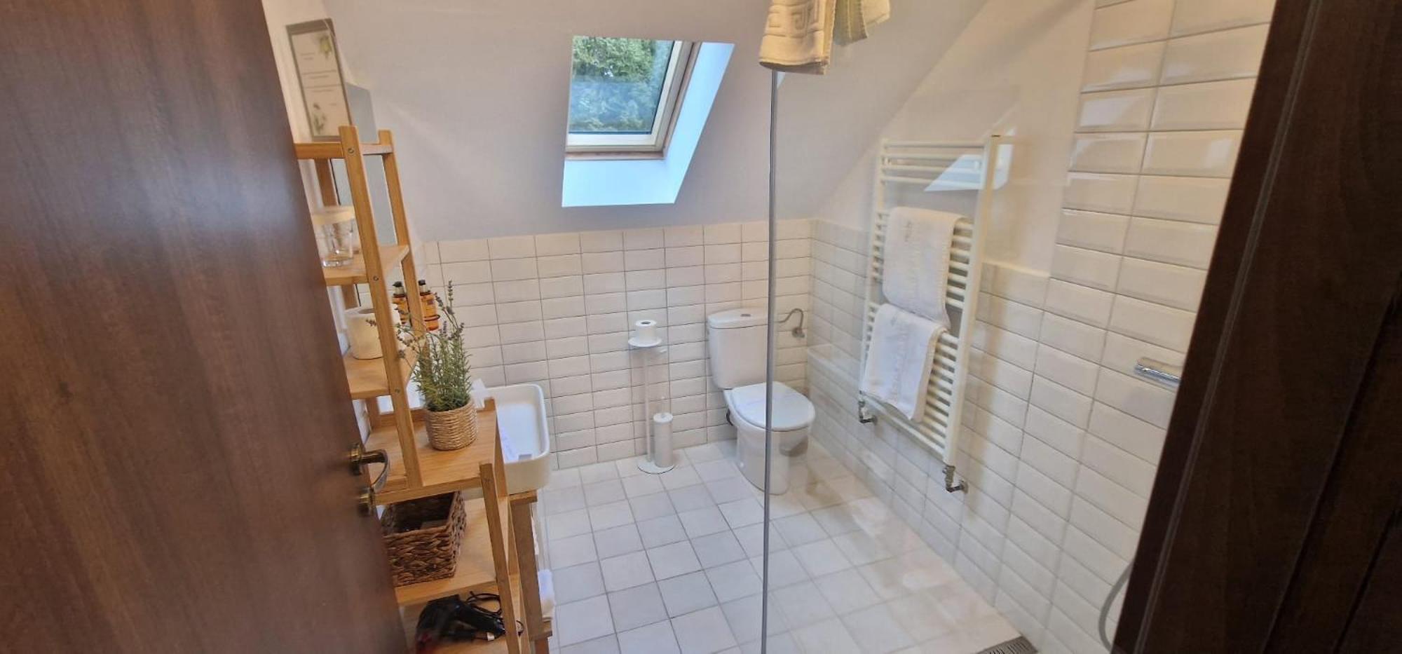 Opus Villa Sinaia Luaran gambar Bathroom with a shower